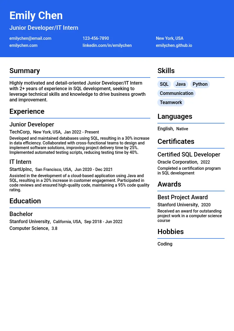 Junior Developer/IT Intern resume example