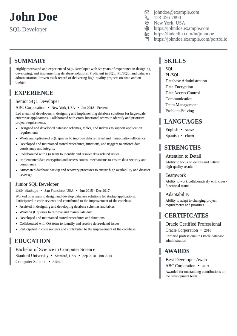 Developer resume example