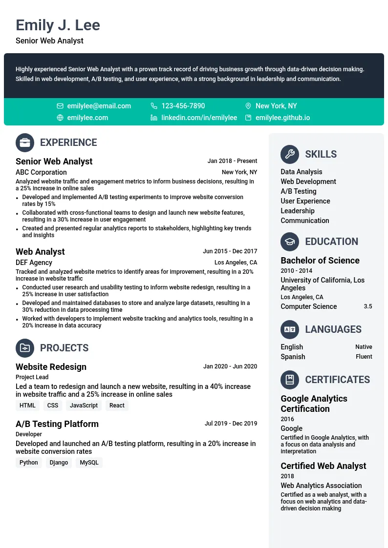 Senior Web Analyst resume example