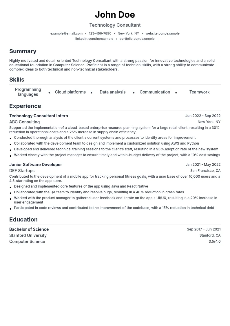 Technology Consultant resume example