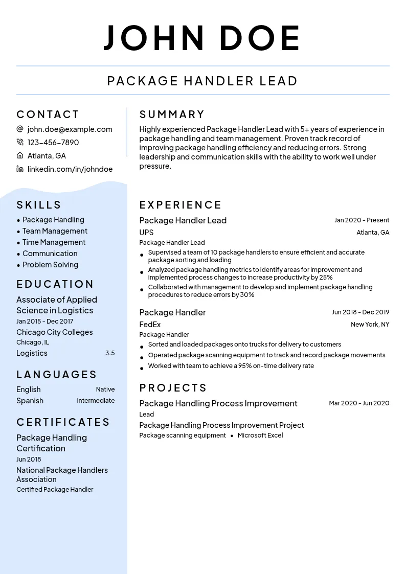 Package Handler Lead resume example