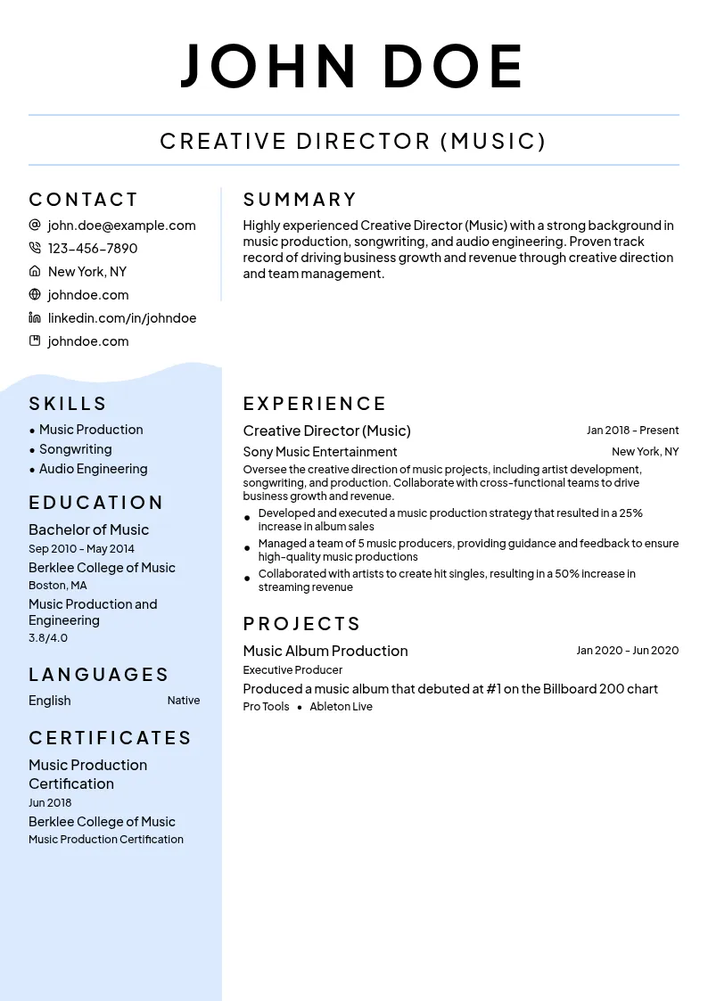 Creative Director (Music) resume example