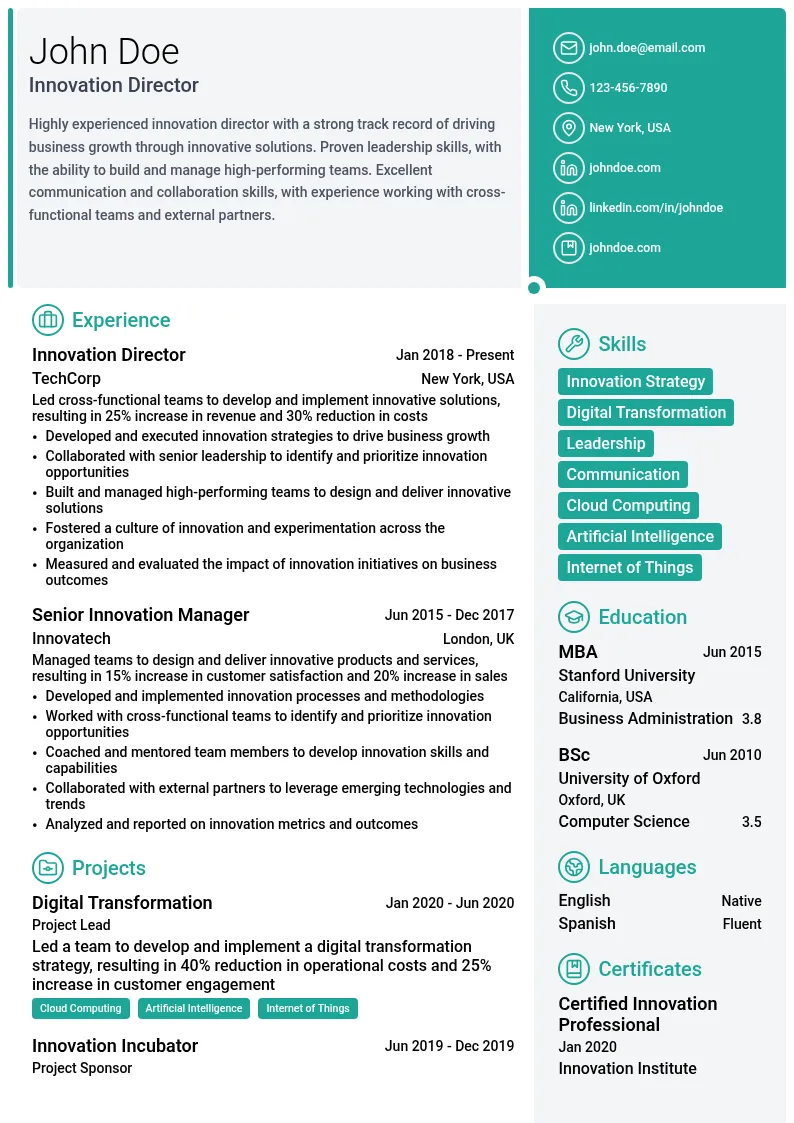 Innovation Director resume example