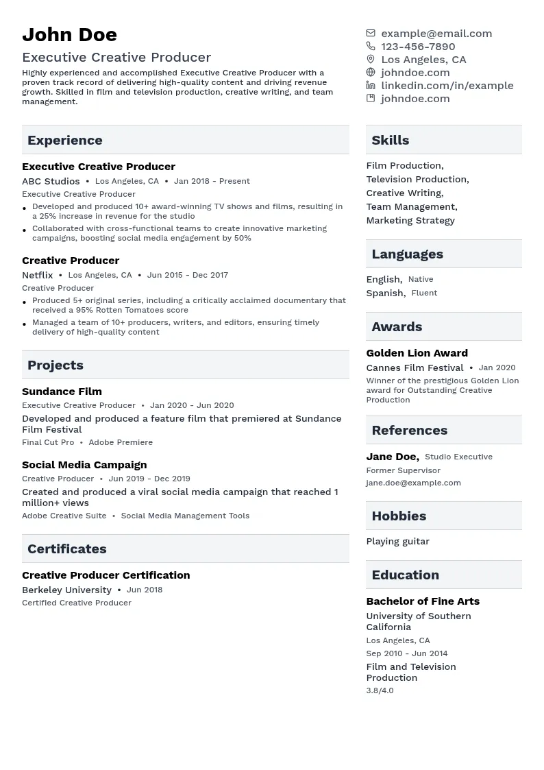 Executive Creative Producer resume example