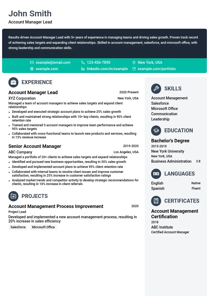 Account Manager Lead resume example