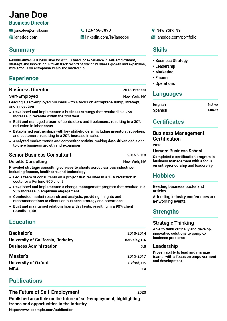 Business Director resume example