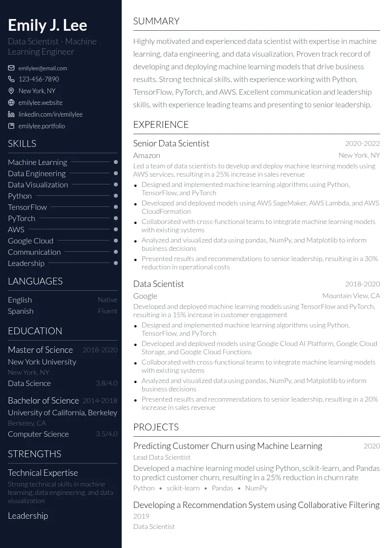 Data Scientist - Machine Learning Engineer resume example