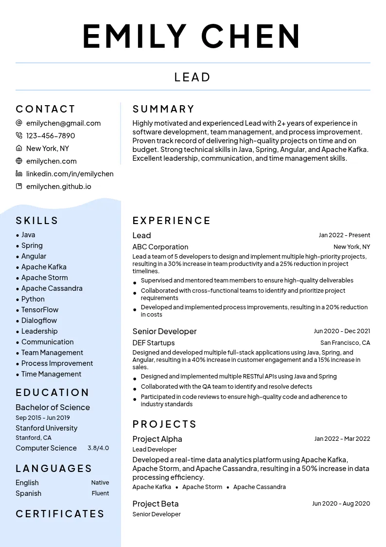 Lead resume example