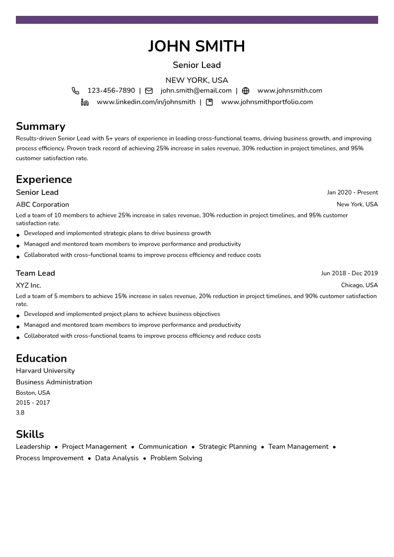 Senior Lead resume example