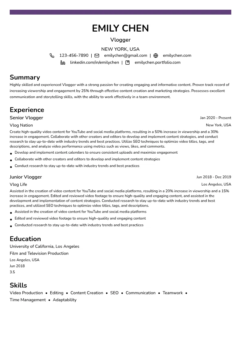 Vlogger resume example