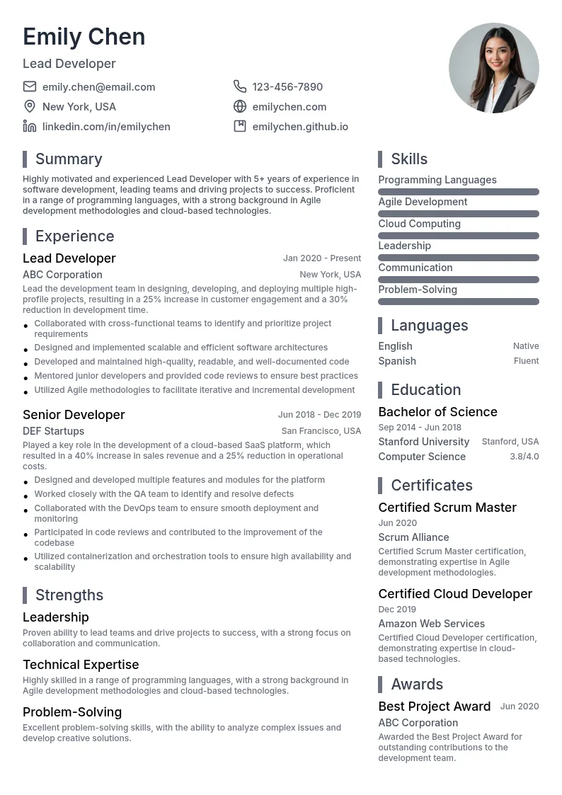 Lead Developer resume example