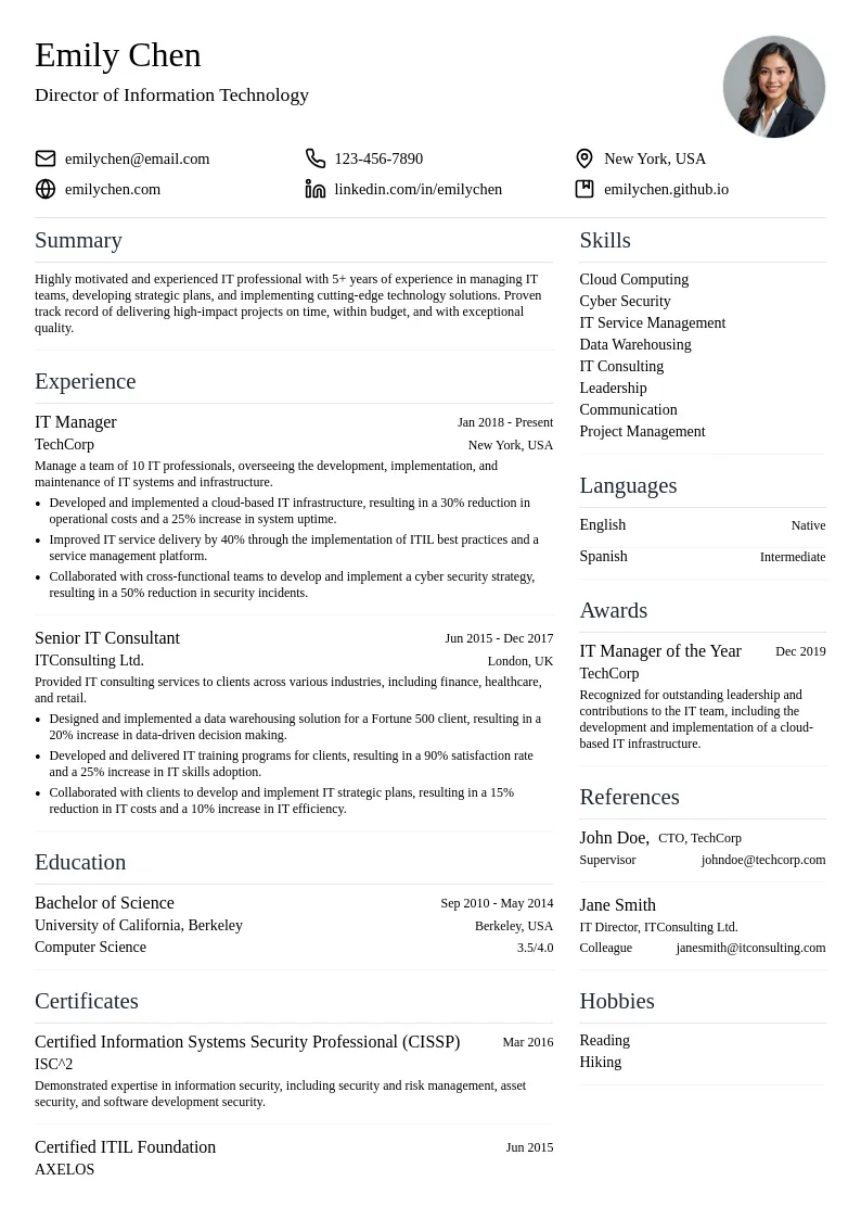 Director of Information Technology resume example