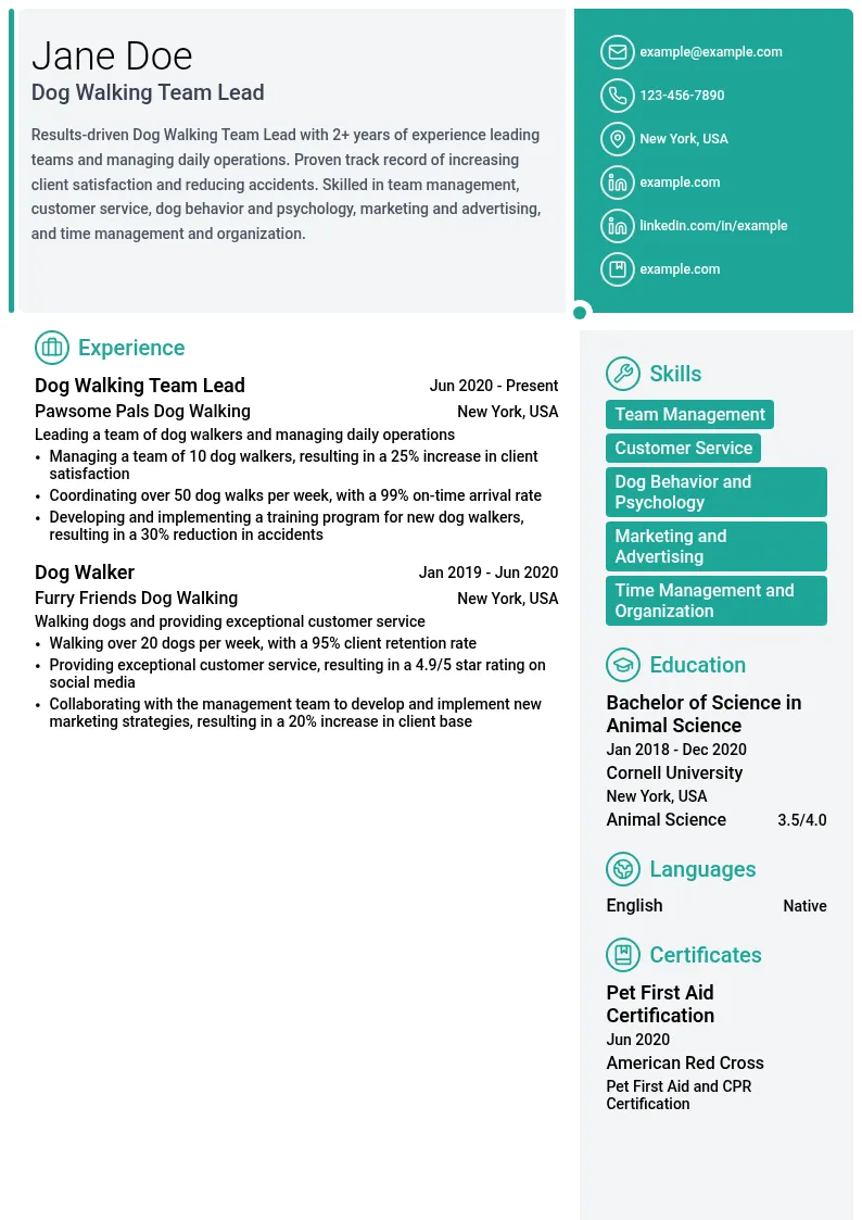 Dog Walking Team Lead resume example