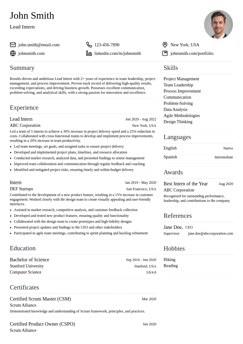 Lead Intern resume example