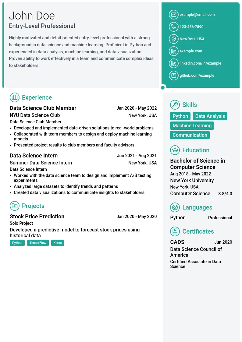 Entry-Level Professional resume example