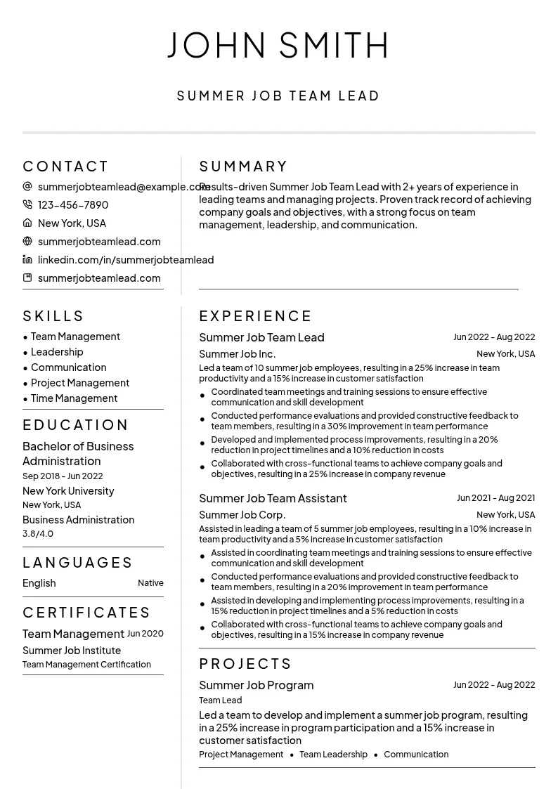 Summer Job Team Lead resume example