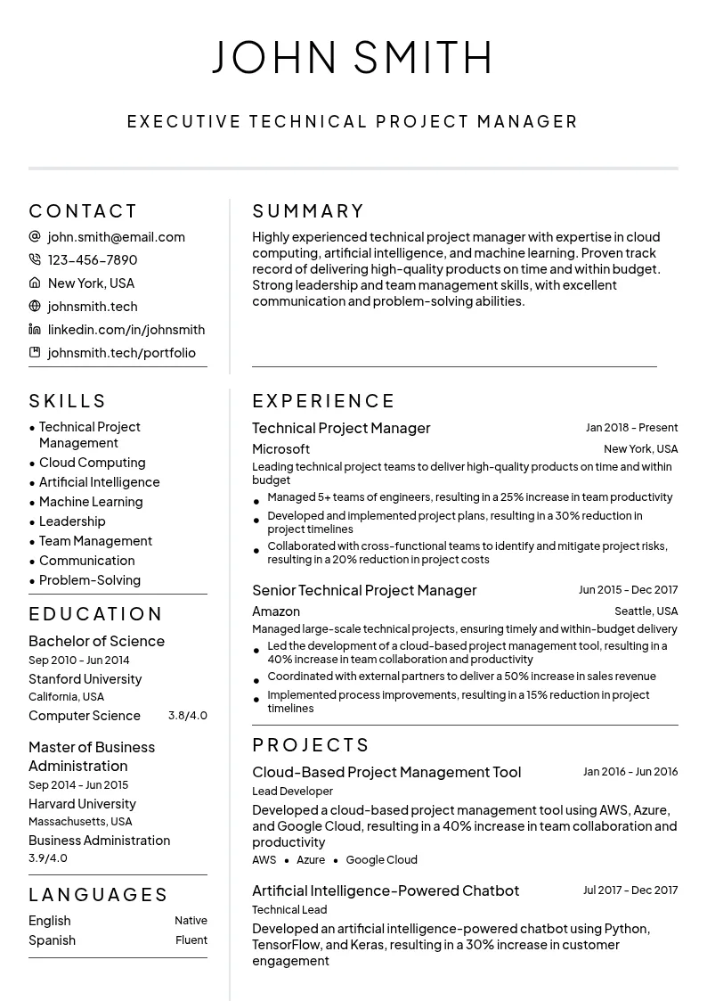 Executive Technical Project Manager resume example