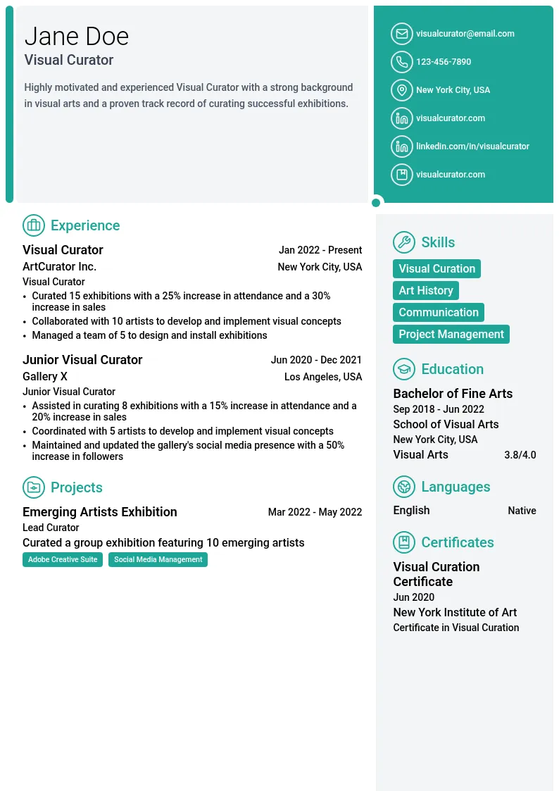 Visual Curator resume example