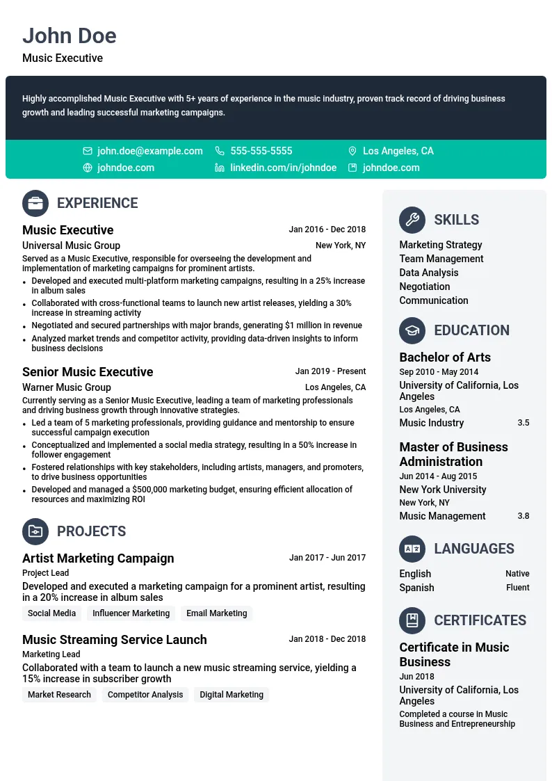 Music Executive resume example