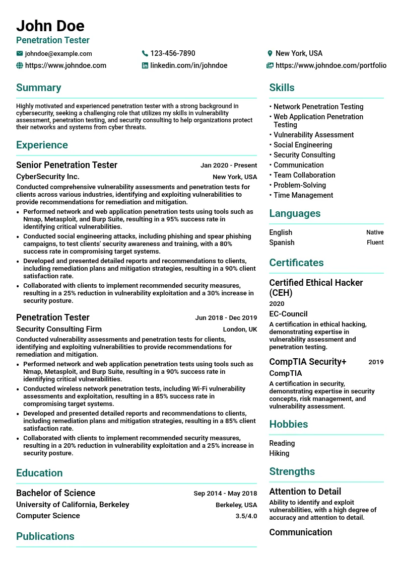 penetration tester resume example