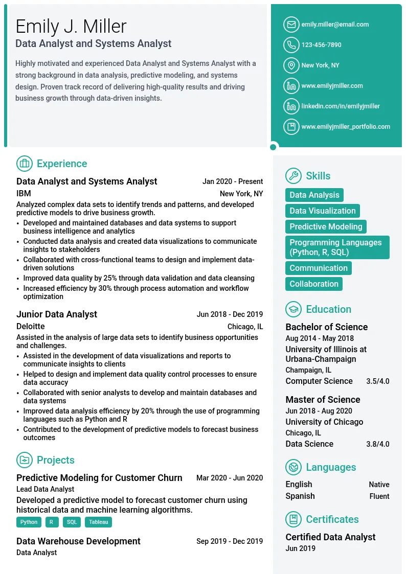 Data Analyst and Systems Analyst resume example