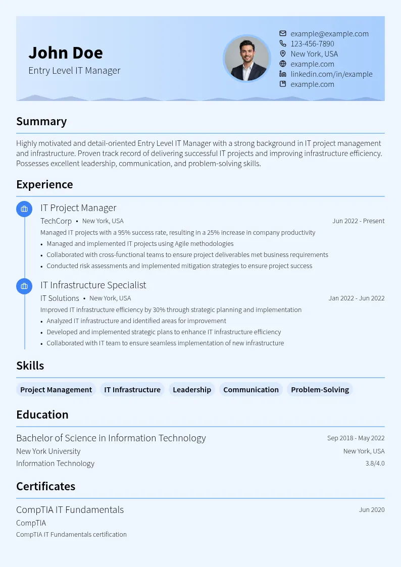 Entry Level IT Manager resume example