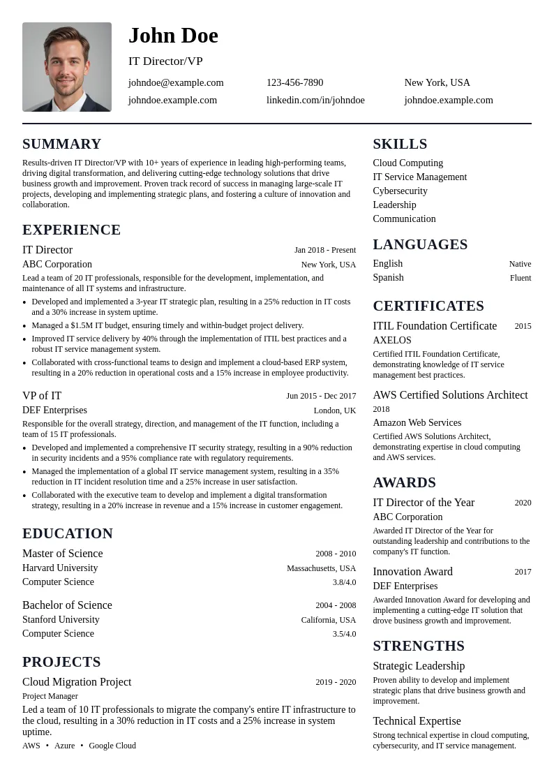 IT Director/VP resume example
