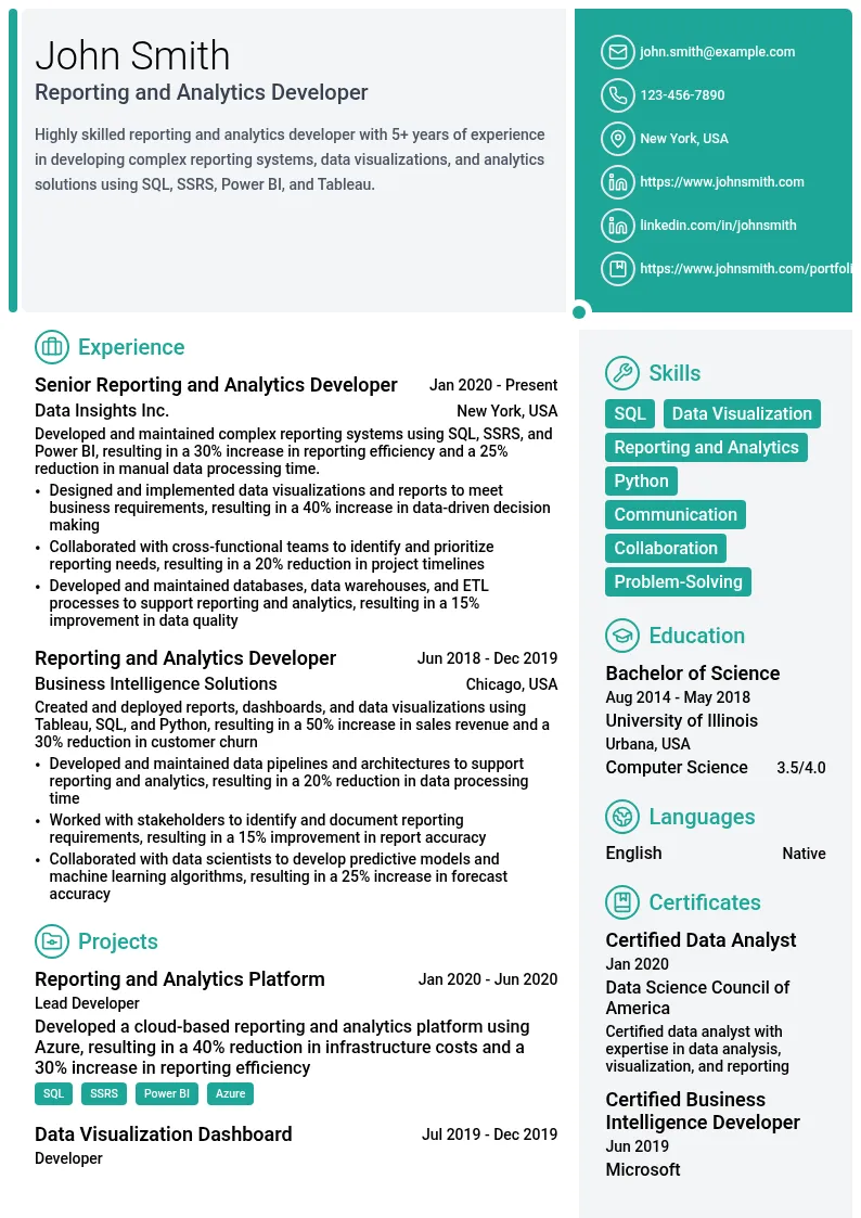 Reporting and Analytics Developer resume example
