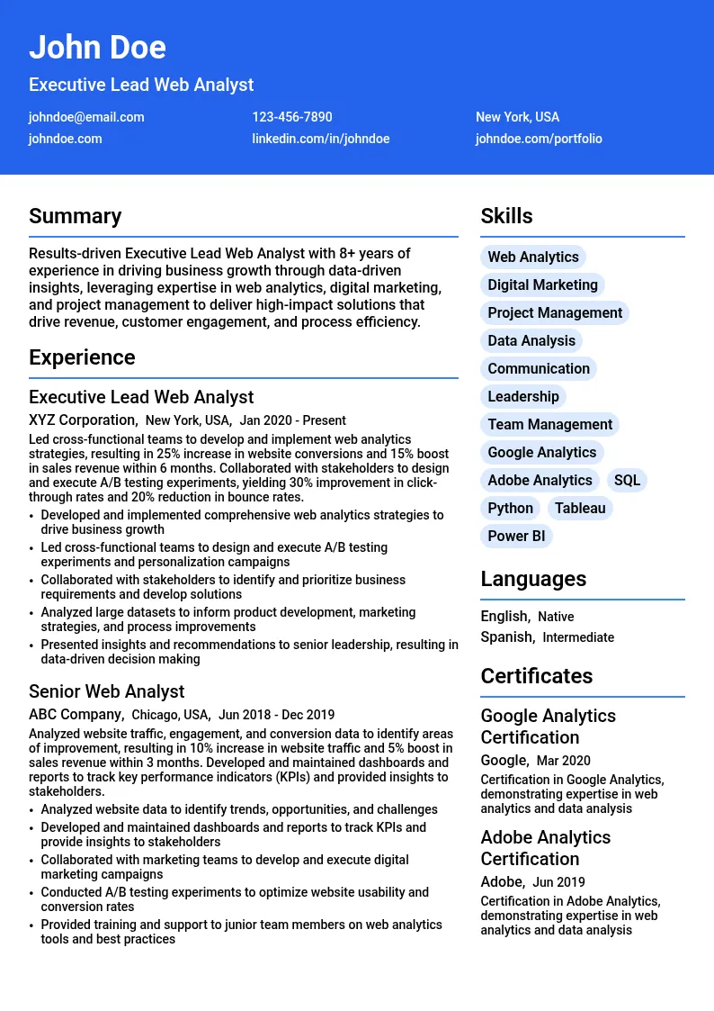 Executive Lead Web Analyst resume example