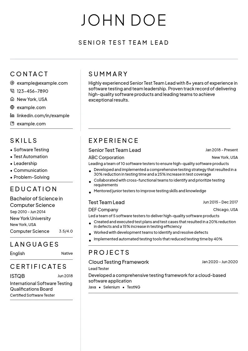 Senior Test Team Lead resume example