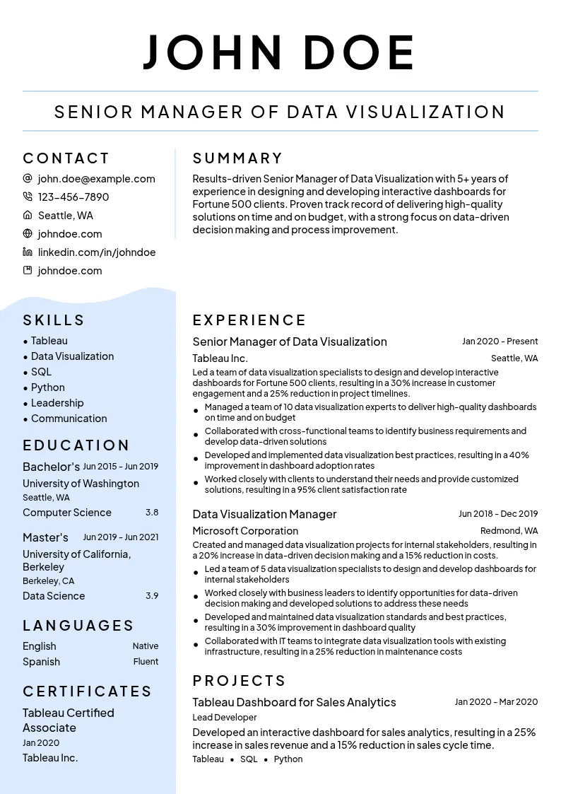 Senior Manager of Data Visualization resume example