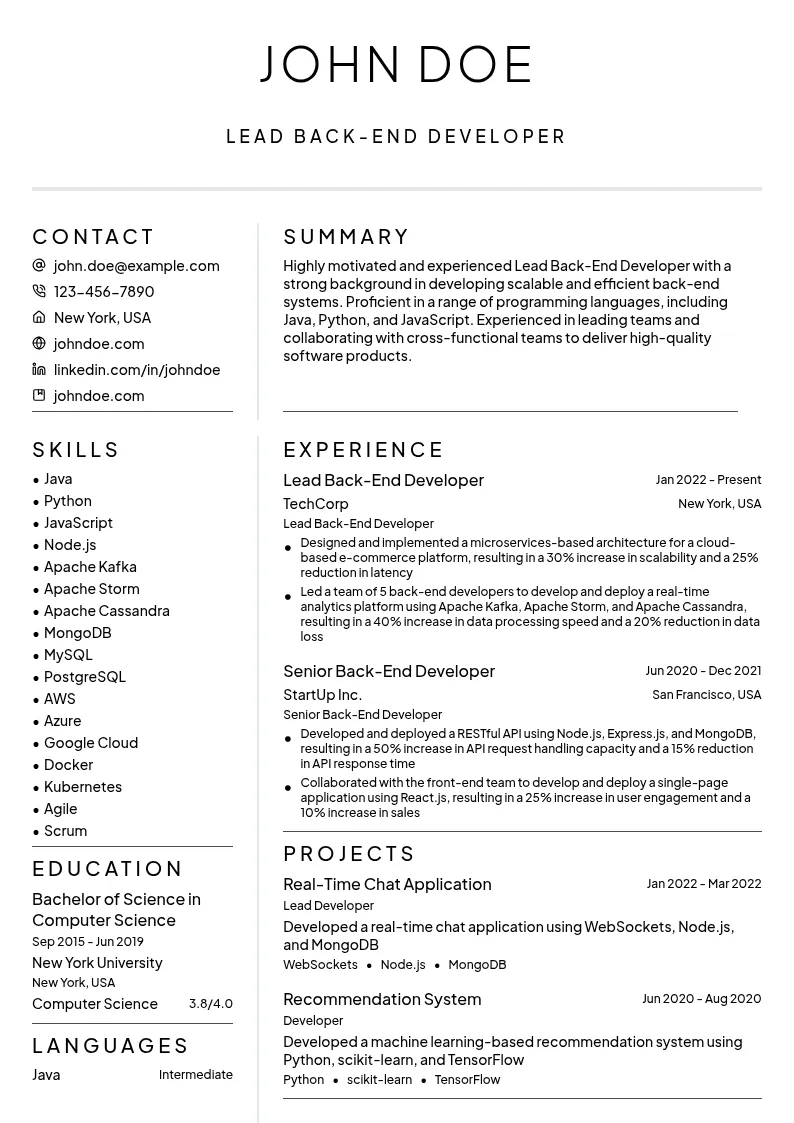 Lead Back-End Developer resume example