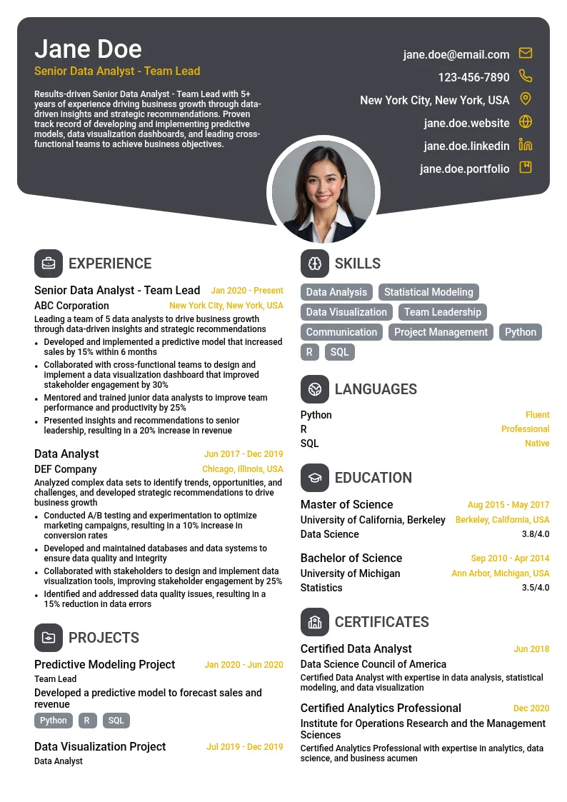 Senior Data Analyst - Team Lead resume example
