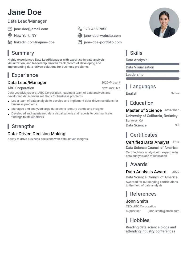 Data Lead/Manager resume example