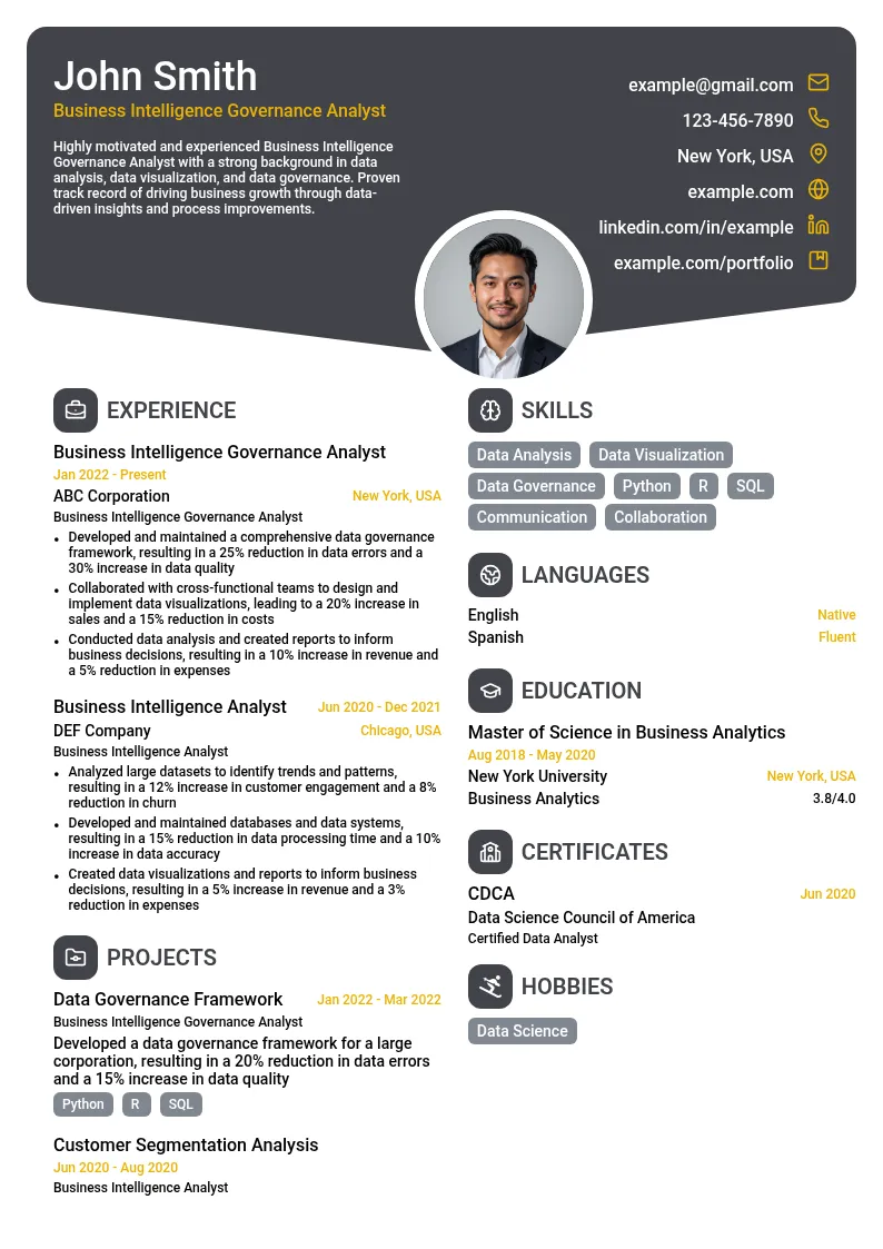 Business Intelligence Governance Analyst resume example