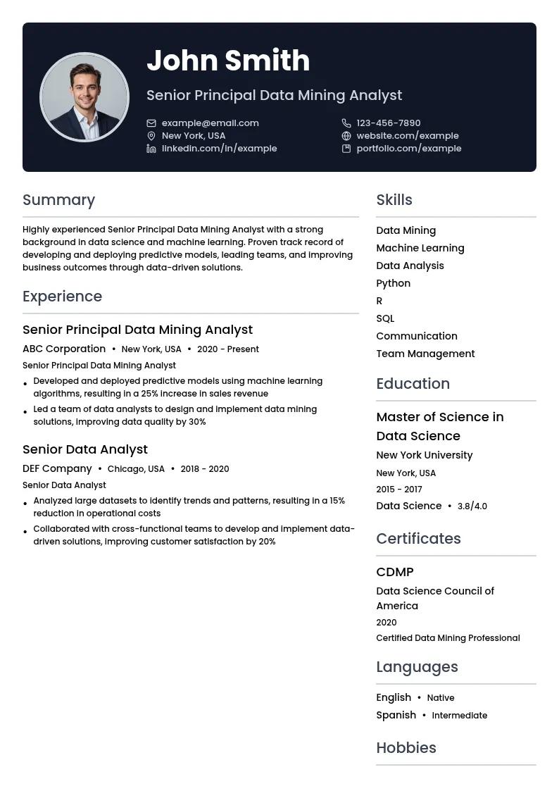 Senior Principal Data Mining Analyst resume example