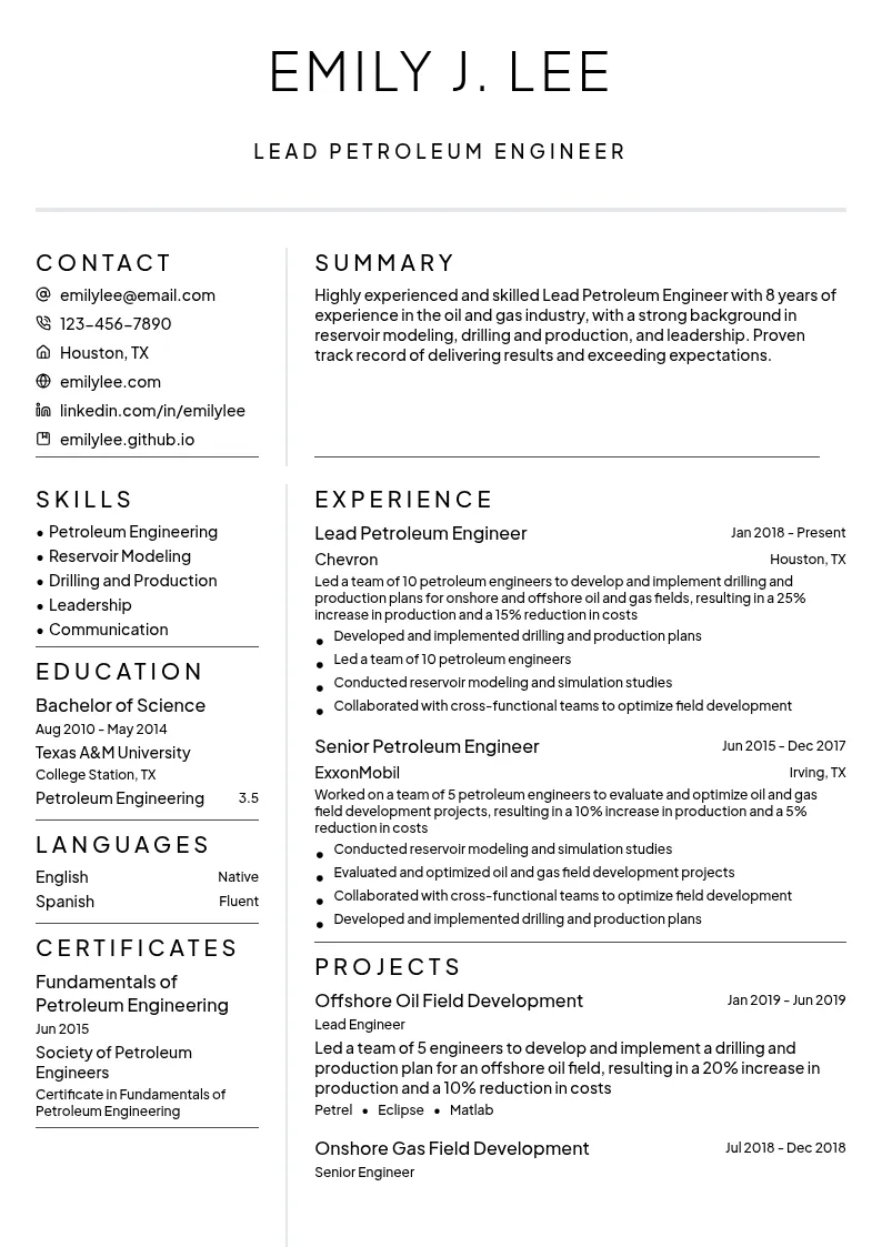 Lead Petroleum Engineer resume example