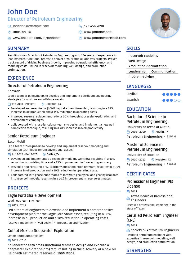 Director of Petroleum Engineering resume example