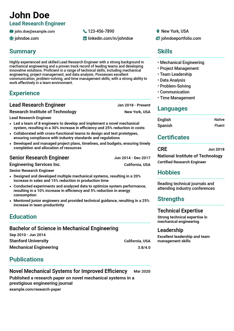 Lead-level resume example
