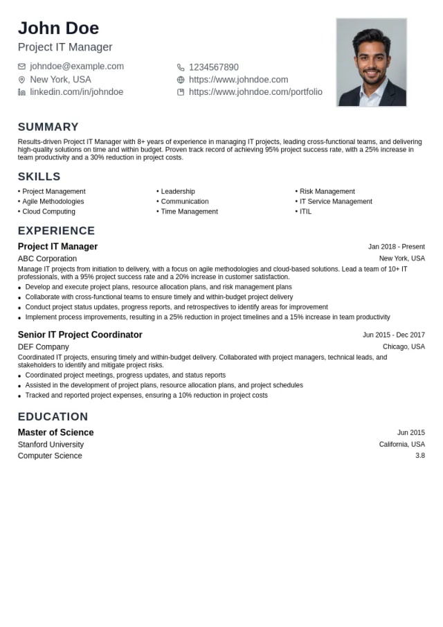 Project IT Manager resume example