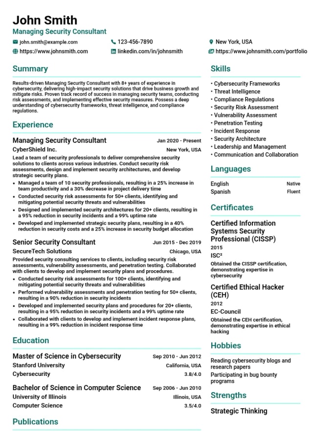 Managing Security Consultant resume example