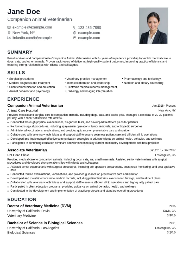 Companion Animal Veterinarian resume example