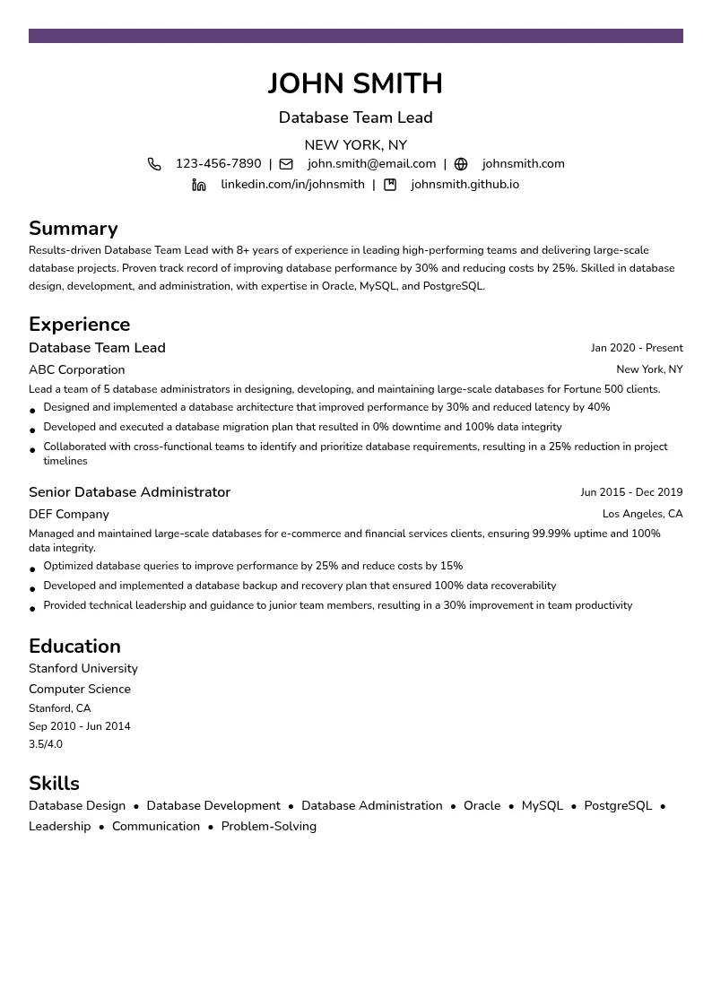 Database Team Lead resume example