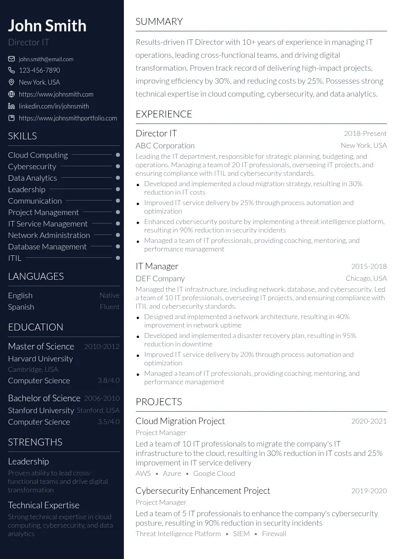Director IT resume example