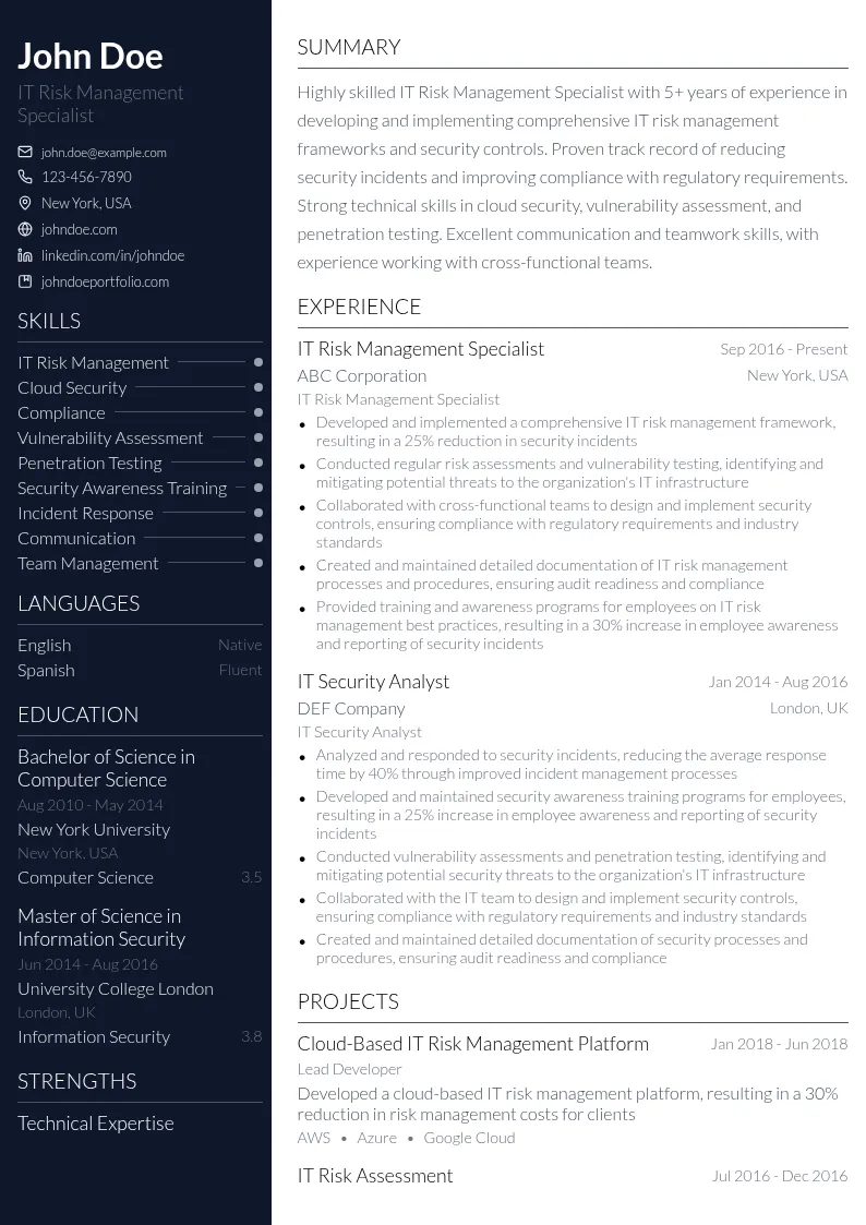 IT Risk Management Specialist resume example