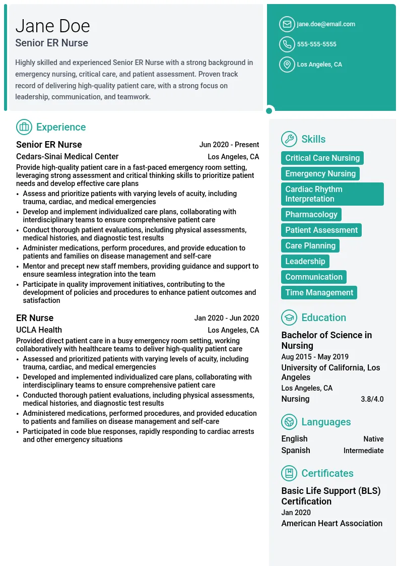 Senior ER Nurse resume example