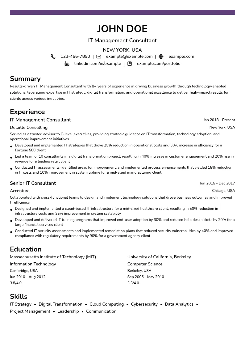 IT Management Consultant resume example