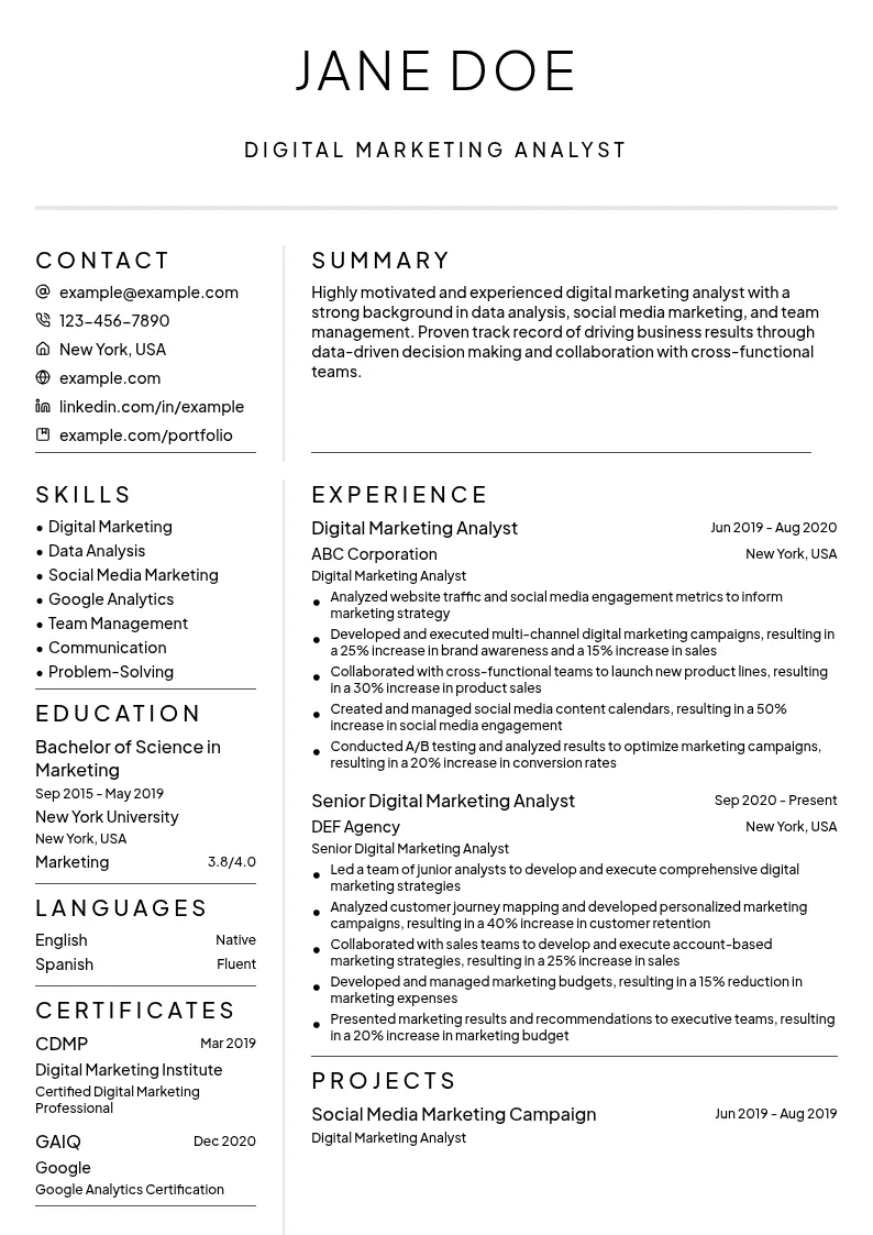 Digital Marketing Analyst resume example