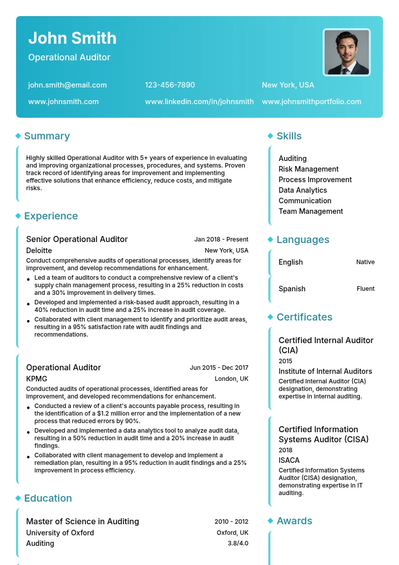 Operational Auditor resume example
