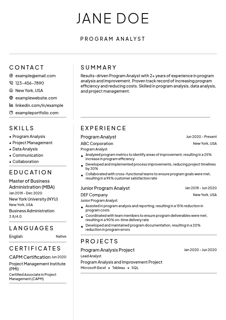 Program Analyst resume example